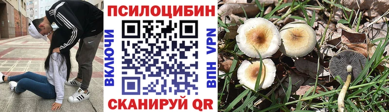 Псилоцибиновые грибы GOLDEN TEACHER  OMG сайт  Минеральные Воды  цена наркотик 