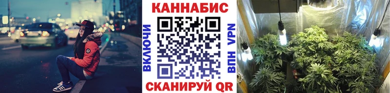 Конопля марихуана  Минеральные Воды 